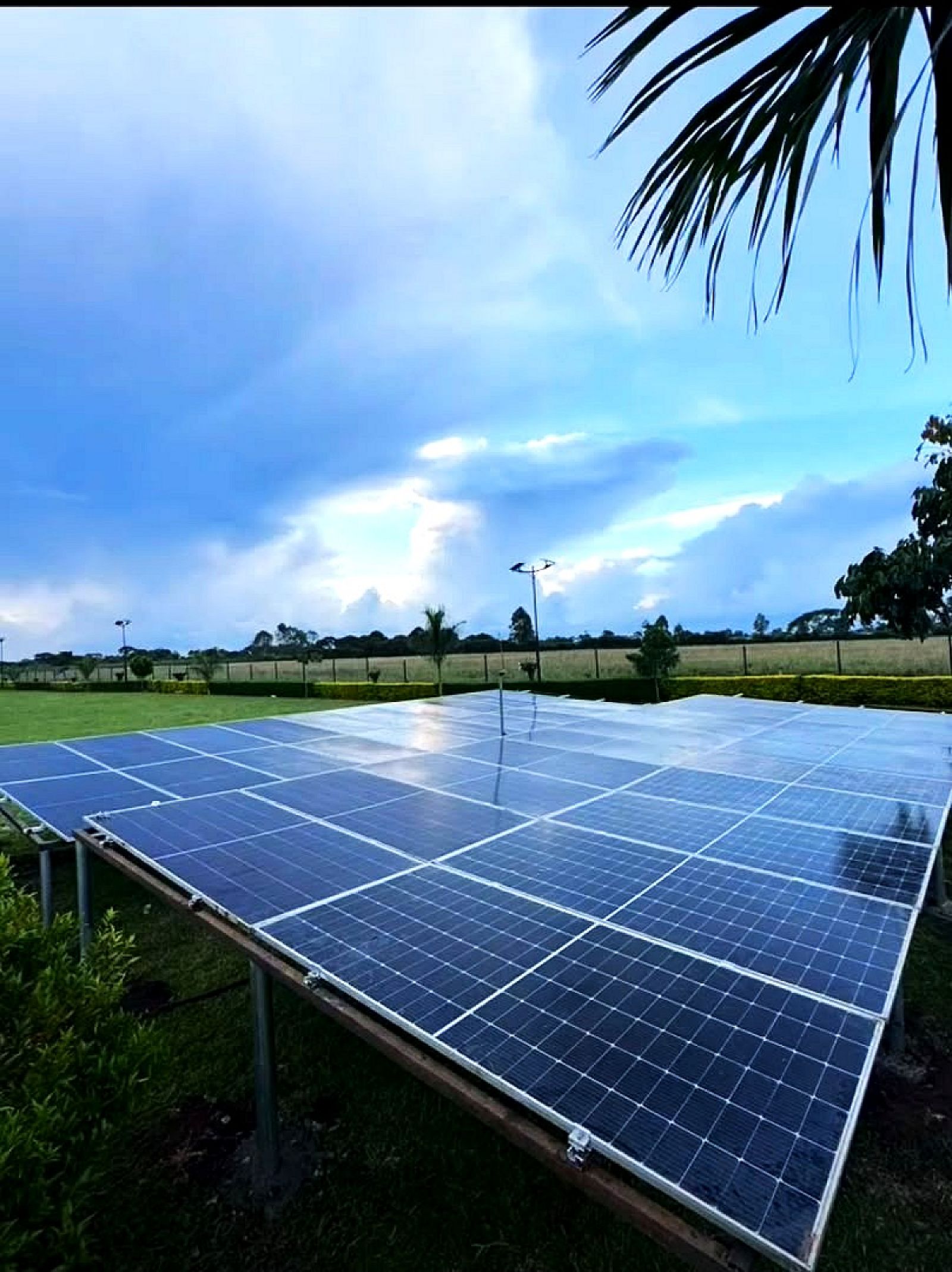 Rows of solar panels on a low steel frame under a stormy sky